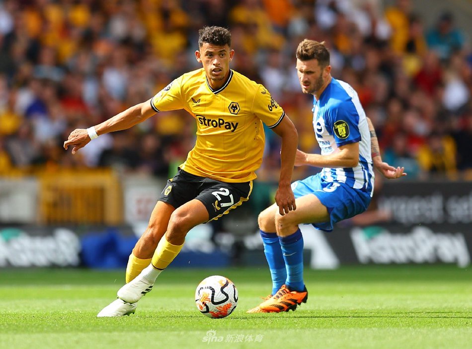 波尼特卡的 波尼特卡的